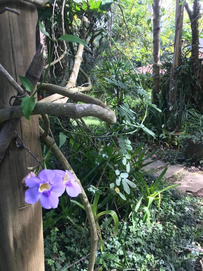 Pousada Flor De Iris São João del Rei Екстериор снимка